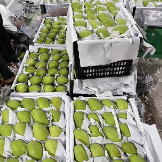 河口县越南玉芒，发货云南，一级果