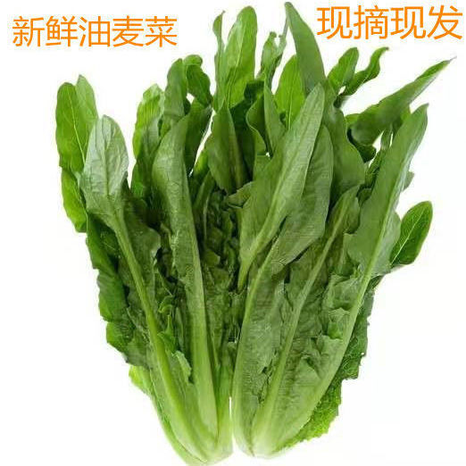 泸州鲜嫩可口   现砍发货