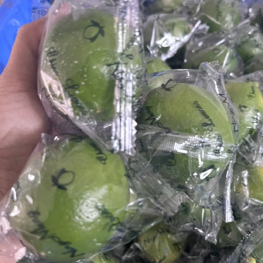 海口海南青柠檬