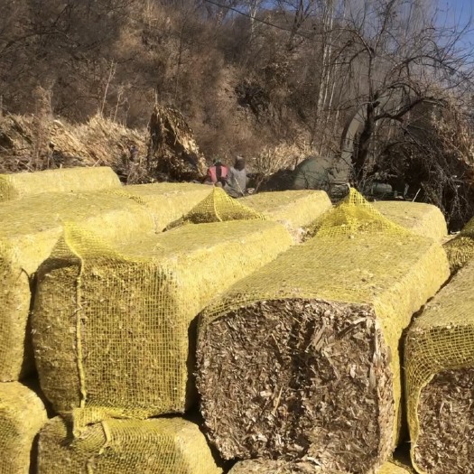 平泉市出售过夏玉米秸秆压块