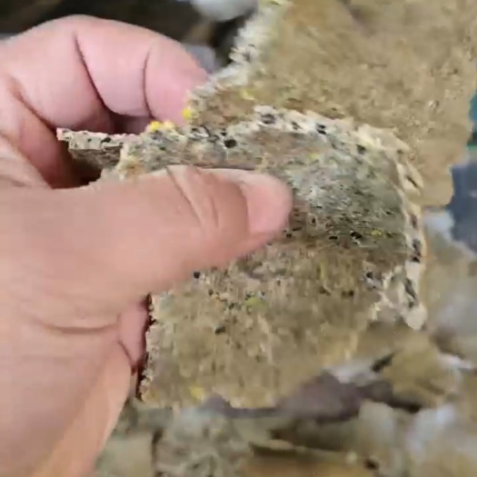 石家庄黄豆杂豆豆饼