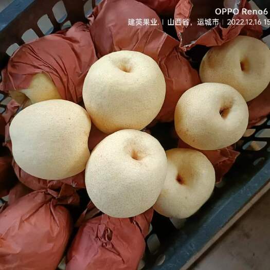 临猗县山西运成酥梨产地直销