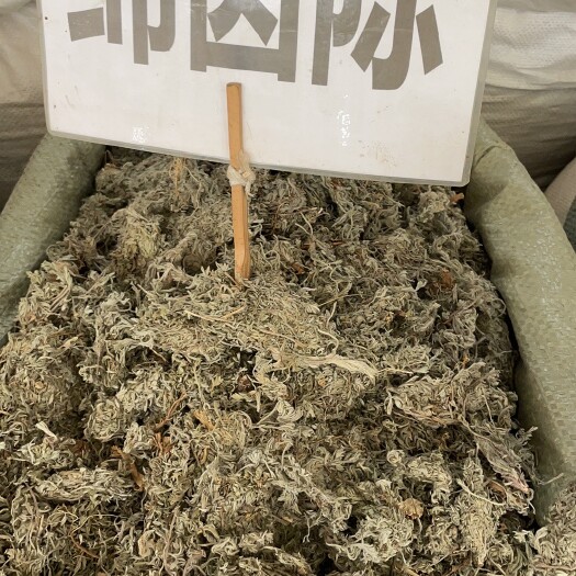 玉林棉茵陈 批发零售中药材 一斤起发 量大从优 一件代发
