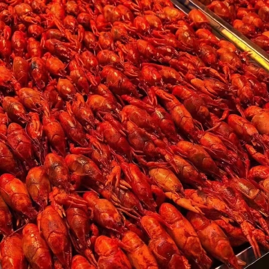 成都辣卤龙虾赠送卤水全成都包送<新鲜龙虾加工非冻虾死虾>