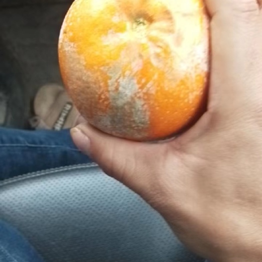 南宁茂谷柑