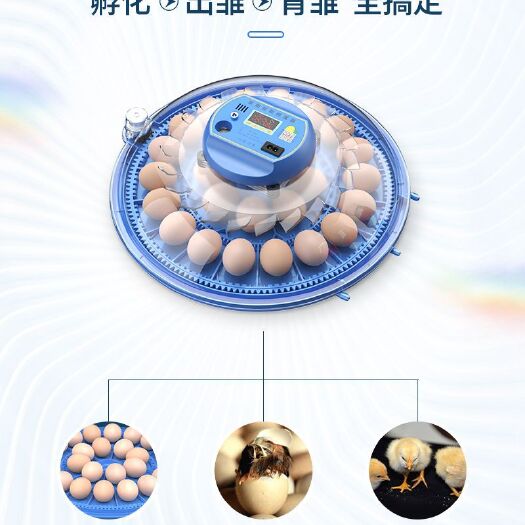 养殖孵化机家用小型孵蛋器小飞碟孵化器孵蛋箱