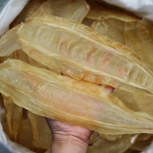 南澳县10头竹叶胶花胶 鱼胶大规格更厚肉足干 清水亮货厚肉质爽滑