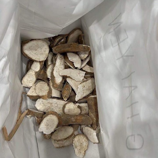 河口县木薯