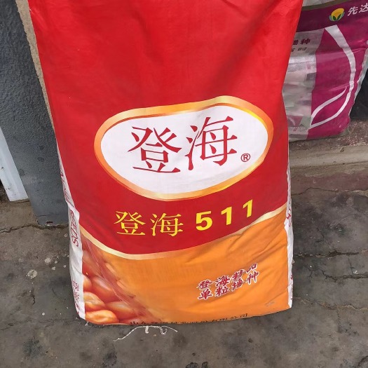 登海511.登海种业供种）：强抗倒、抗病、结实性好、适应广