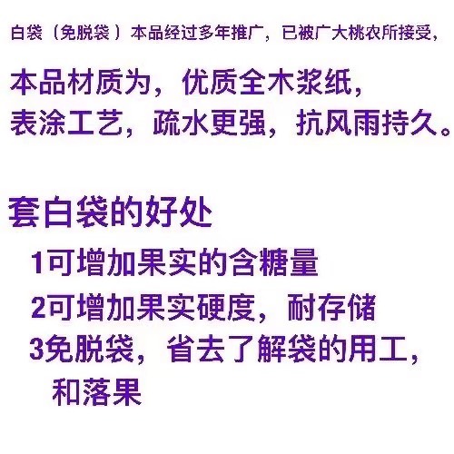 种植套袋  葡萄袋 葡萄套袋 纸袋 果袋 水果套袋 厂家批发