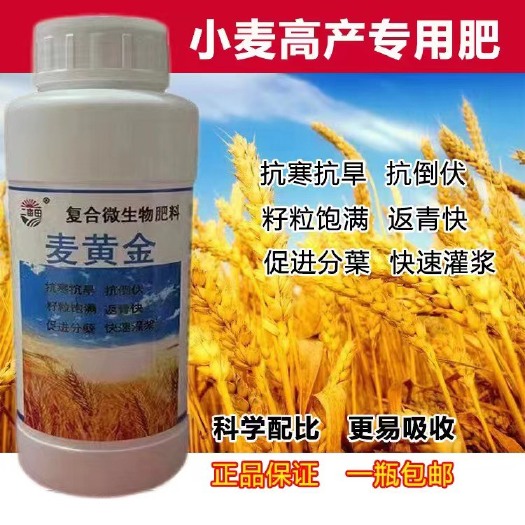 邯郸小麦高 产专用肥 麦黄金