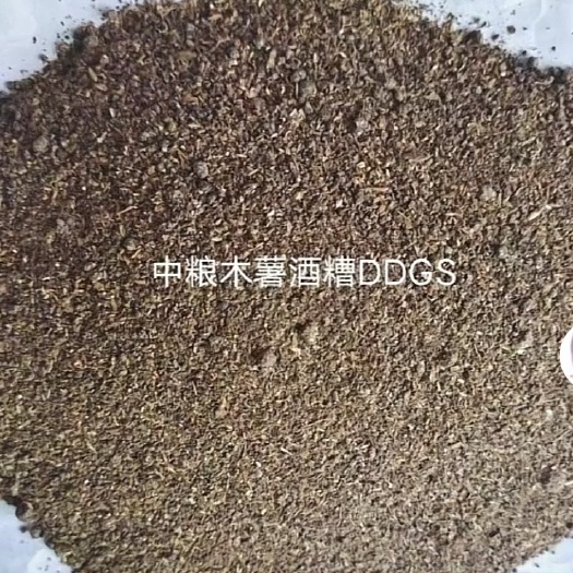 正定县木薯酒糟