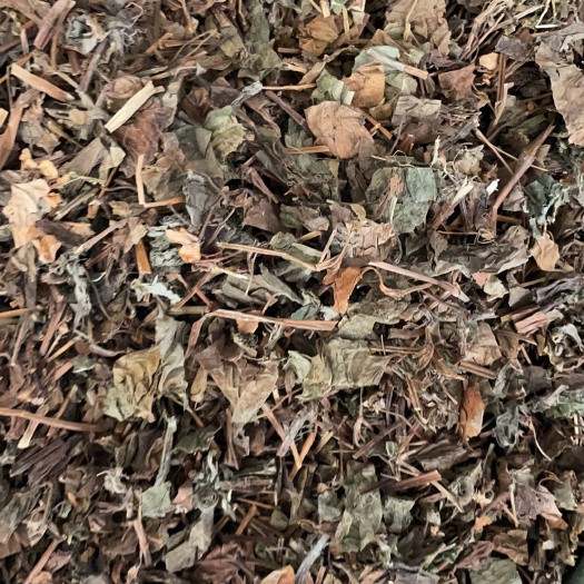 玉林鱼腥草 批发零售中药材 一斤起发 量大从优 一件代发