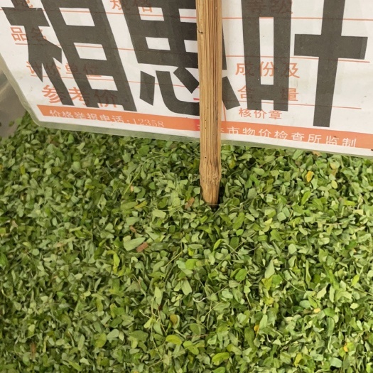 玉林相思叶 批发零售中药材 一斤起发 量大从优 一件代发