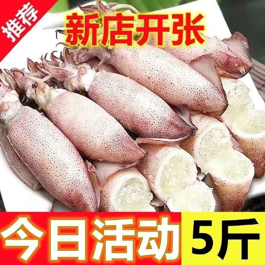 新鲜海兔籽乌满籽新鲜带籽笔管全籽鱿鱼墨鱼乌贼冷冻海鲜乌鱼批发