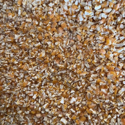 东明县碎玉米净粮