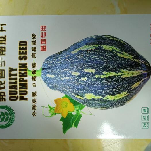 邦农香芋南瓜种子，抗性强，连续坐果能力强，增产口感好，品质佳