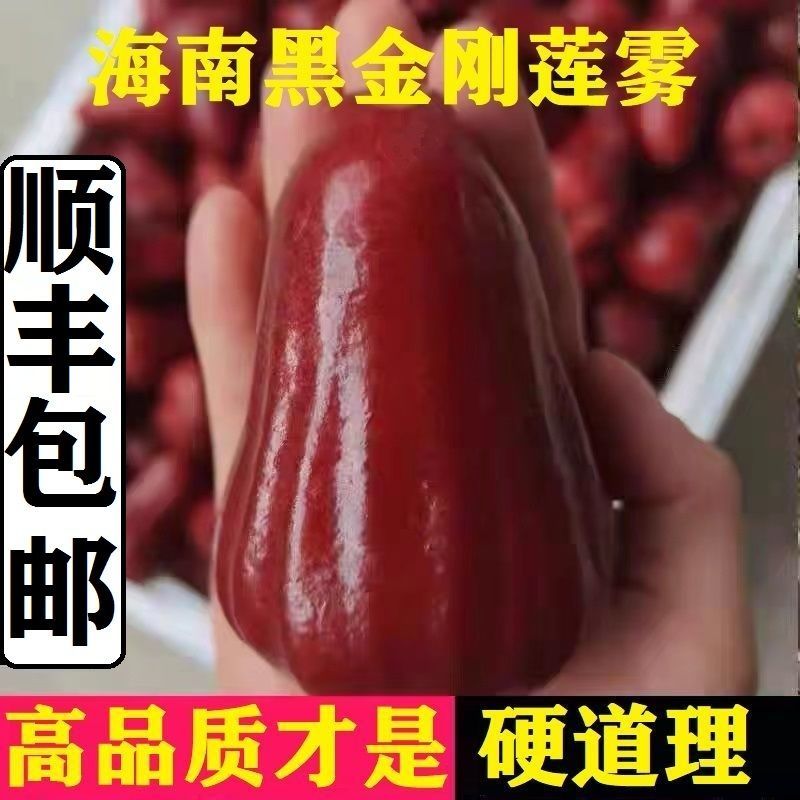 [˳˰]ϺڽȴˮŮ