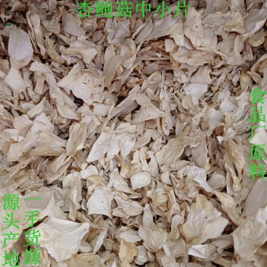 古田县杏鲍菇中小片干货批发