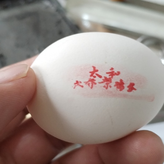 保定土鸡蛋