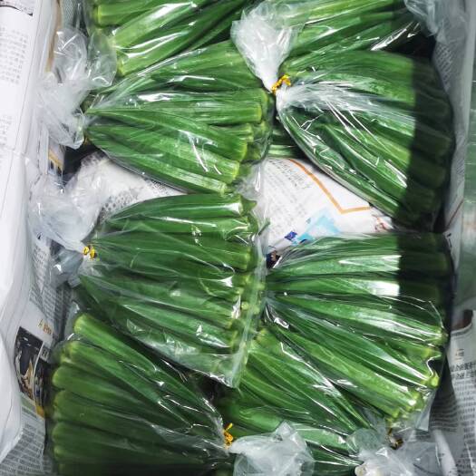 杭州秋葵