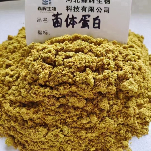 石家庄厂家直销，菌体蛋白肽蛋白70-80-90 水分12以内