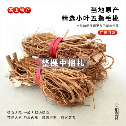 翁源县种植五指毛桃