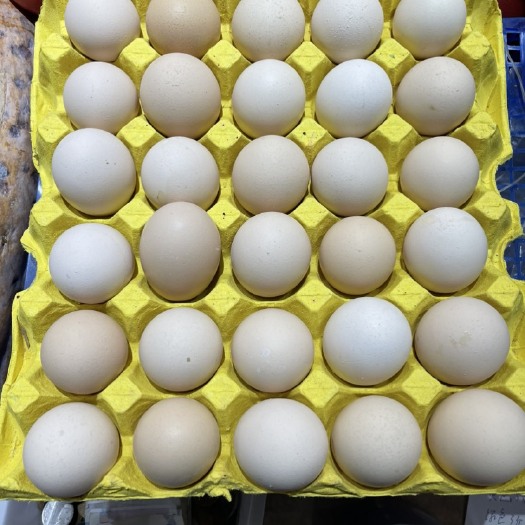 土鸡蛋