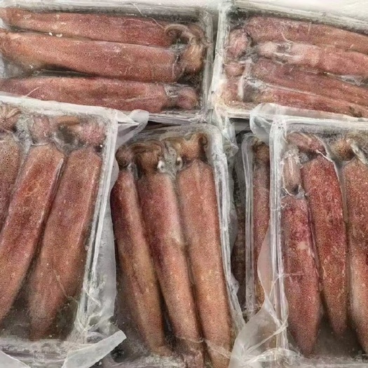湛江灯光海捕鱿鱼 急冻无泡水 精选品质 网商产品
