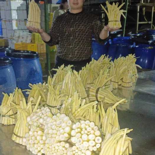 梧州小竹笋