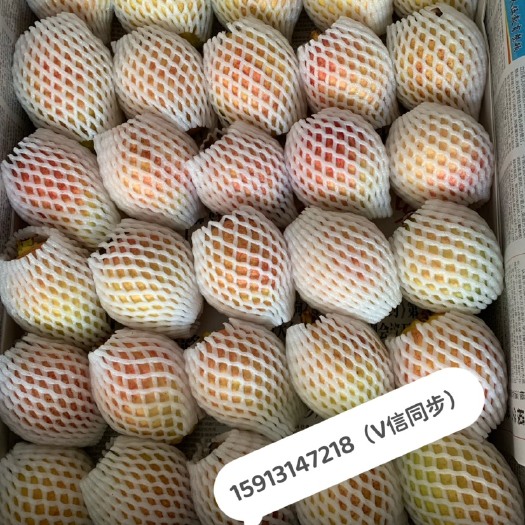 广州广州增城胭脂红番石榴珍珠芭乐鸡屎果香糯清甜