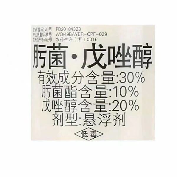 拜耳稳腾30%肟菌戊唑醇杀菌剂