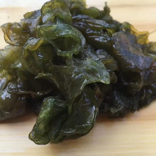 杭州地皮菜