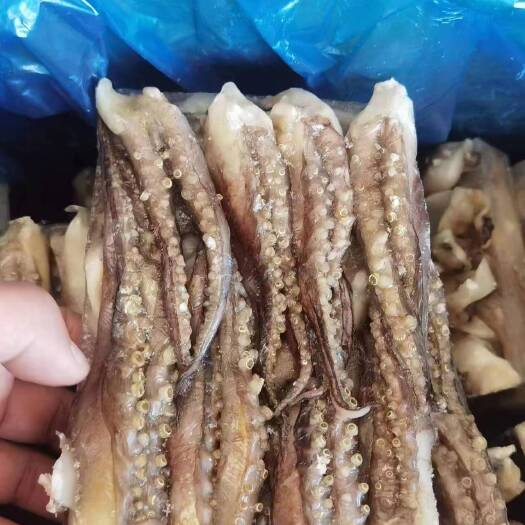荣成市鱿鱼须二本足