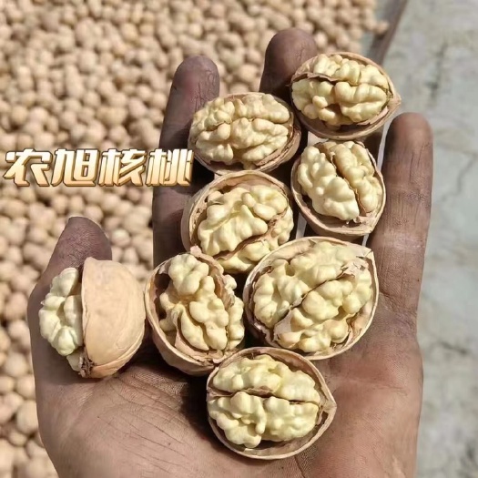成都2023阿克苏薄皮核桃新疆核桃薄皮核桃一件代发产地直销