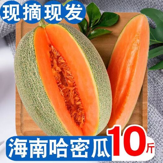 海口海南哈蜜瓜小蜜25号新鲜应季水果整箱批发