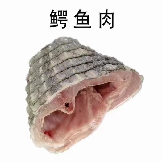海口鳄鱼肉 带皮鳄鱼肉 肉质新鲜 美食优选质量有保障