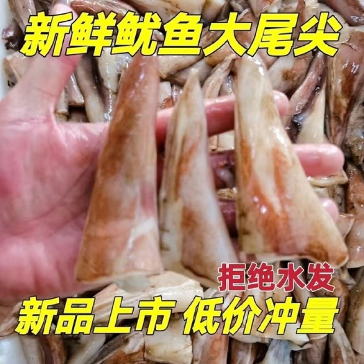 连云港鱿鱼尾尖新鲜冷冻鱿鱼耳朵鱿鱼尾耳花自助餐火锅烧烤食材鱿鱼尖