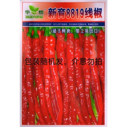 邵东市超长香辣线椒种子薄皮特长春秋早熟种籽阳台四季辣椒种湖南椒