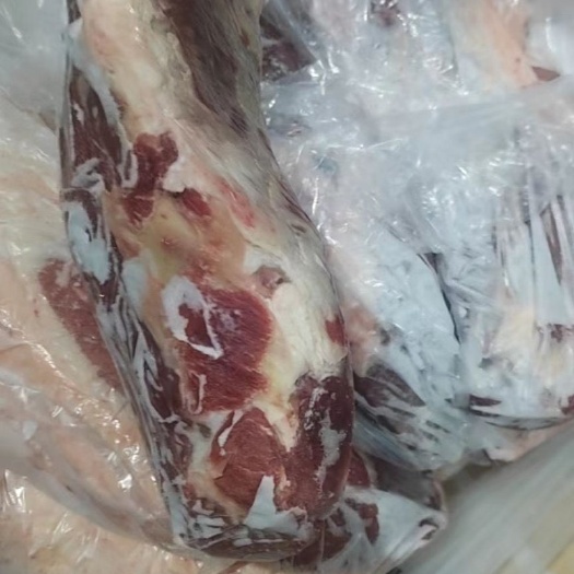新西兰47 P小米龙 天津现货 证件齐全