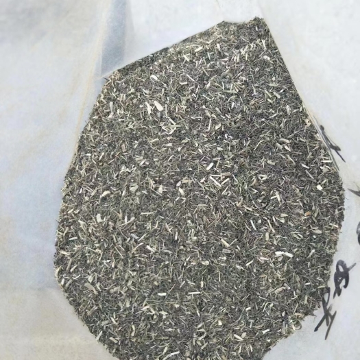 正定县甜叶菊渣。甜叶菊渣