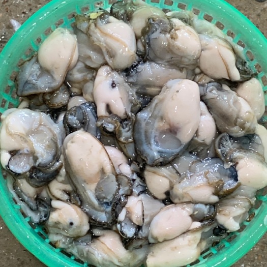 饶平县每日现开的生蚝肉新鲜