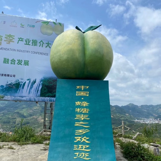 镇宁县贵州省镇宁县六马镇蜂糖李