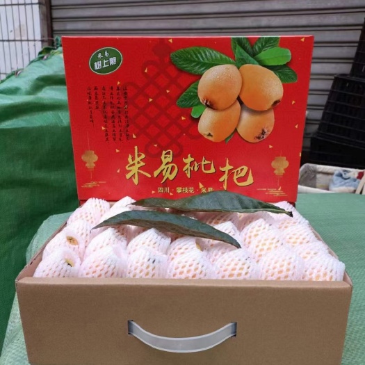 米易县攀枝花  米易高山  枇杷   香  甜