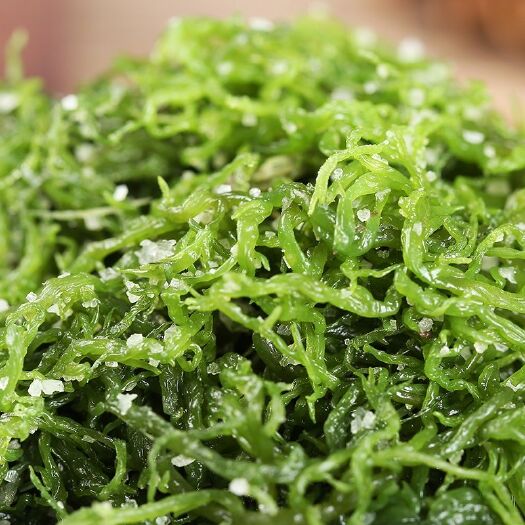 霞浦县绿色龙须菜海菜海藻食用厂家批发水产