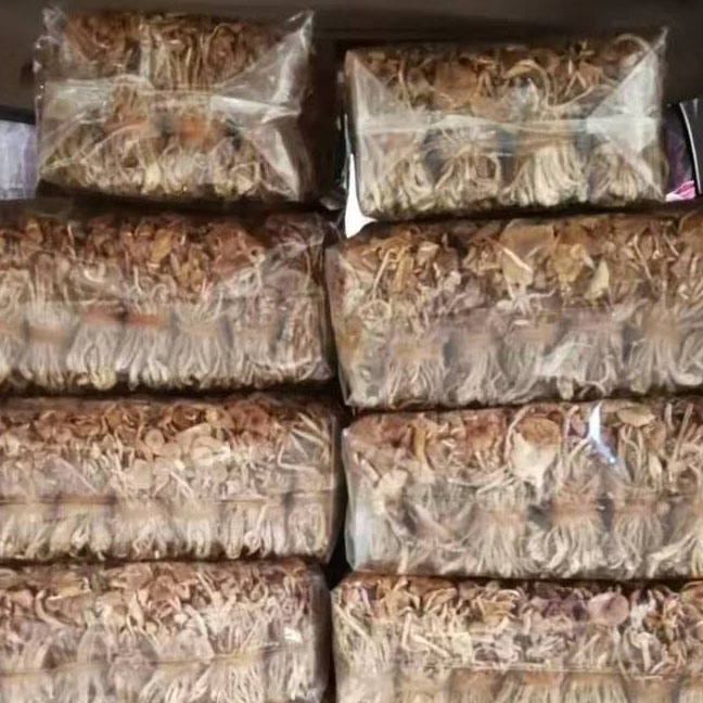 23年新货茶树菇干货开伞茶树菇香嫩农家自产江西广昌茶薪菇散装