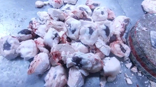 子洲县原油羊腰子