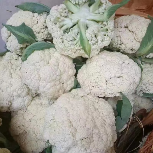 马鞍山花菜大量上市