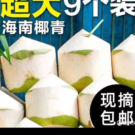 文昌市海南椰青-68-九个装，包邮到家，一件发货
