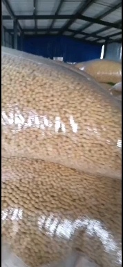 确保非转，当季新豆，全部自产自销，各种蛋白和规格